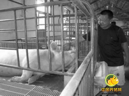 智障男子西安走失 斗门一养猪场老板收留他近两月