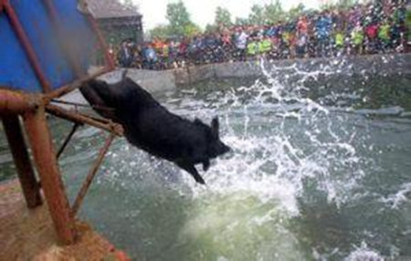 除了猪肉等着跳水，各行各业都涨价了