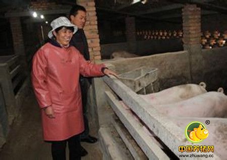 养猪“女状元”的生意经，不懈努力是关键