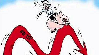跌幅缩窄，猪价止跌或许就在眼前！