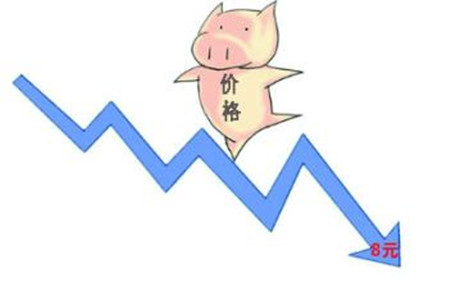 猪价猛烈下跌时 养猪人要牢记的五个关键词