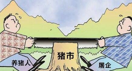 养猪人为何在与屠企的供需博弈中屡屡败阵？