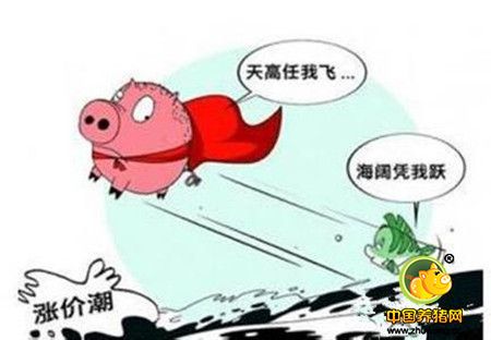 猪价上涨趋势蔓延23省份 或迎上行周期