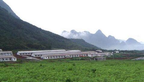 散户和小规模猪场生存压力再次增大，这次不是因为环保