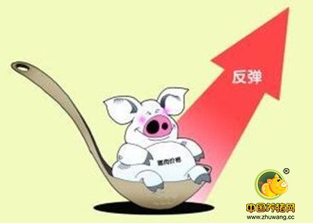东北猪价“牵一发动全身”！是谁给你“洪荒之力”