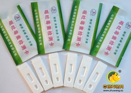 霉菌毒素脱毒方法