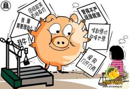 4大养猪户担心的问题，最后一个就算资深养殖户都怕