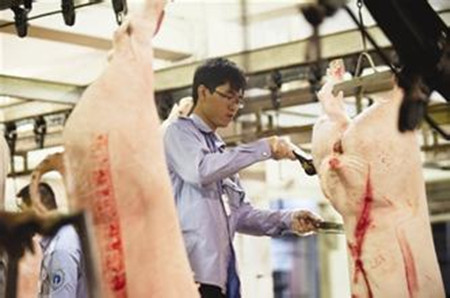 徐州整顿生猪屠宰行业 出动执法人员1.5万多人