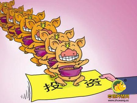仔猪补栏积极性有所受挫 猪价在8元/斤附近调整