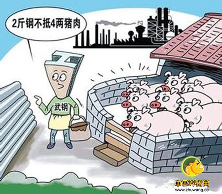 猪场扩张大于退养，仔猪价高20%仍无货