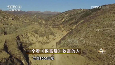 到乐农之家认养黑山猪的4大优势，还不快来养猪？