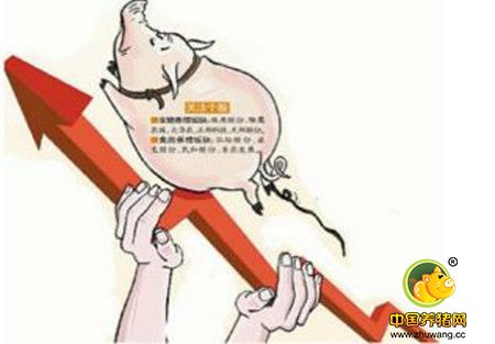 机会早知道：养猪企业业绩大爆发 产业步入高景气周期