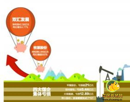 养猪企业业绩大爆发 温氏股份百亿净利刷新纪录