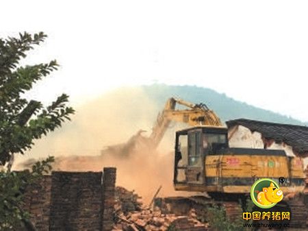 康美2天将拆30多家养猪场，对环境污染零容忍