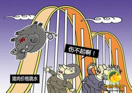 生猪价格50天下降11.30% 猪粮比进入黄色预警区