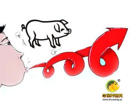 本周猪价行情跌是主流 仔猪价格止涨转跌