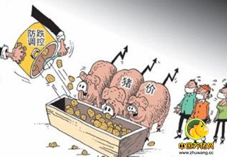 价格回暖刺激养殖户积极性，下半年生猪养殖量会再次增加