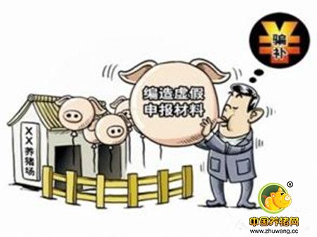 中小养殖户真的跟养猪补贴无关？农村养猪补贴知晓率仅6.25%
