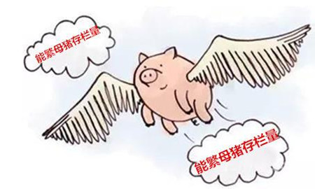 母猪淘汰量持续下跌，猪价后期上涨动力已不足？