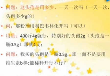 猪腿瘸了，体温还有点低，头孢的好坏和用量
