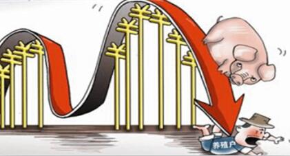 警惕！三月底猪价可能跌破16年最低点？