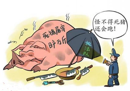 秋季影响猪群健康五大安全隐患