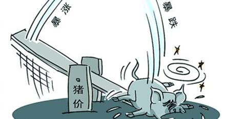 猪价继续弱势下跌，南方高价区的冲击不断