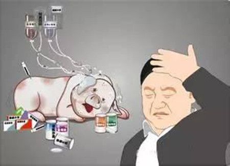 仔猪低血糖病误诊为伪狂犬的病例