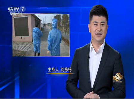 门外汉养猪有高招 猪粪还能赚千万 