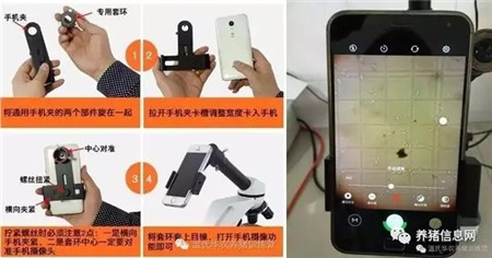 绝对开脑洞！来看看这些猪场神器，第一款我就惊呆了……