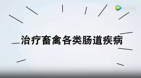 丰强生泰——肠道健康领跑者