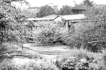 福州高新区被取缔的养猪场死灰复燃 南屿昨清拆