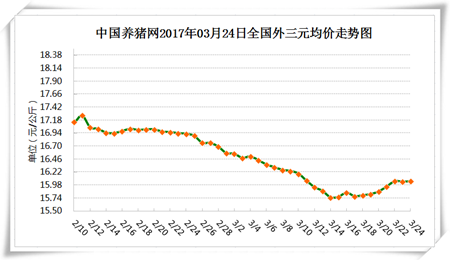 3月24日猪评：清明到了屠企不敢压价 短期内猪价还能不能上涨？