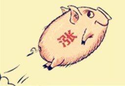 猪价正在回暖 4月底前猪价有望真正重启上涨态势？