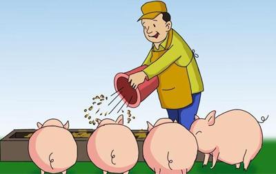 从民族性格角度看各国养猪业——日本养猪篇