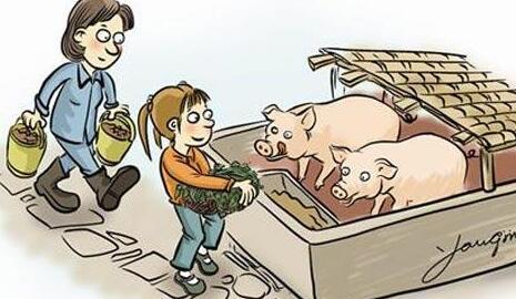 猪场清退 进口肉趁机大举进入！千万猪场将何去何从？