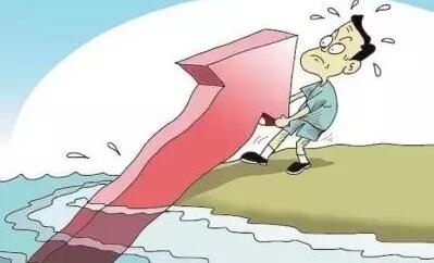养殖户盼涨意浓！4月涨价的可能性有多少？