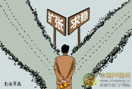 别不信，下半年猪价更差？!且看分析！