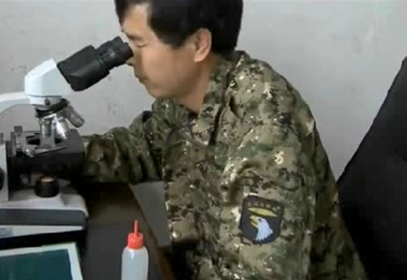 传统黑猪怎么养？饲料中加两个鸡蛋是秘密武器
