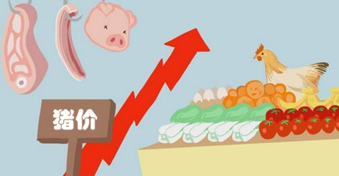 节后猪价是下跌，还是迎来全面上涨？