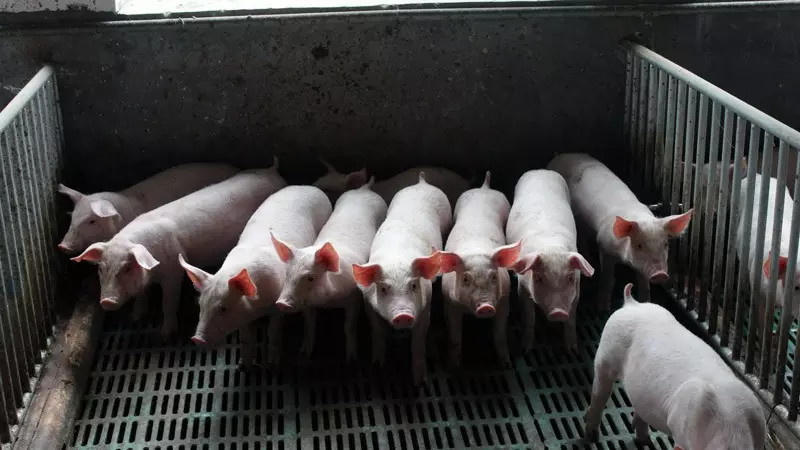 湿拌料与干粉料各有什么优缺点?