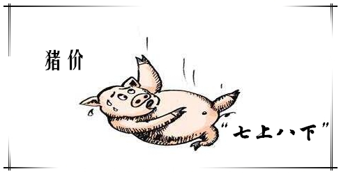 5月份开始猪价将整体真正回暖？