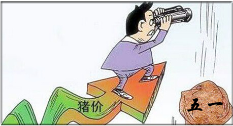 都说五一猪价会涨，但要警惕这几大风险！