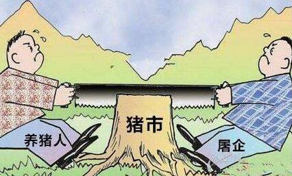 业内：4、5月份生猪价格会好转并且开启上涨的步伐