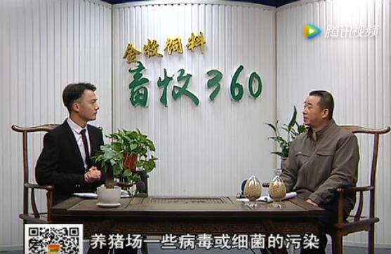 猪病解析：春季猪腹泻病的原因及防治方法