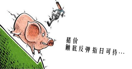 猪价7.5元左右已触底，反弹行情必然会出现！
