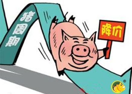 压价意愿增强 预计短期猪价微跌态势难改