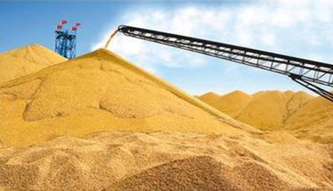 环保检查盛行 玉米无妄受难 限制玉米市场购销量