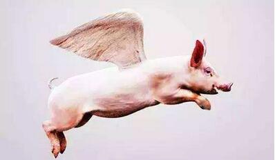 同等品质的进口肉比国产肉贵1-2倍 便宜的都拿去加工了