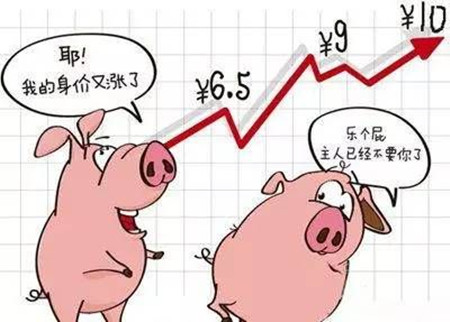 五一临近屠宰企业有提量 局部地区猪价触底反弹